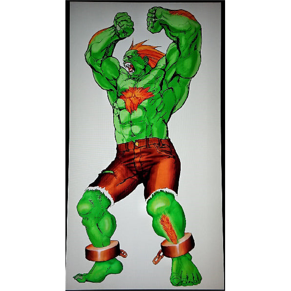 I found an extremely rare Street Fighter 2 Blanka cardboard standee from  the Super Nintendo days