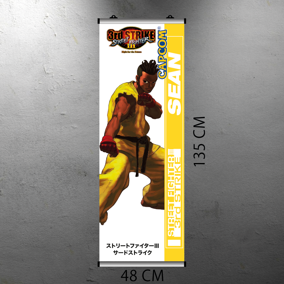 STREET FIGHTER III 3RD STRIKE - SEAN FLYER BANNER