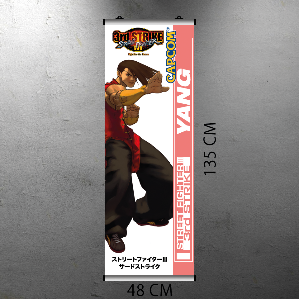 STREET FIGHTER III 3RD STRIKE - YANG FLYER BANNER